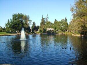 Tree Lined Pond with Fountain and Ducks Swimming